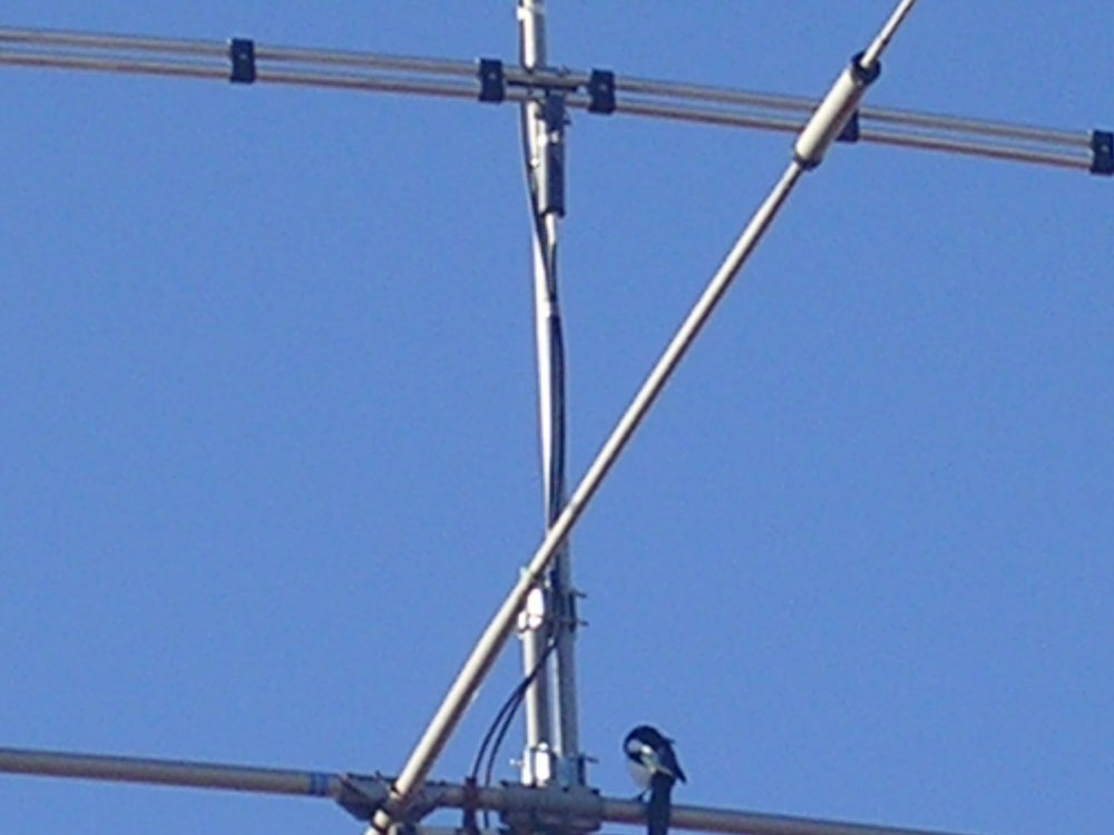 mast pkw 40m